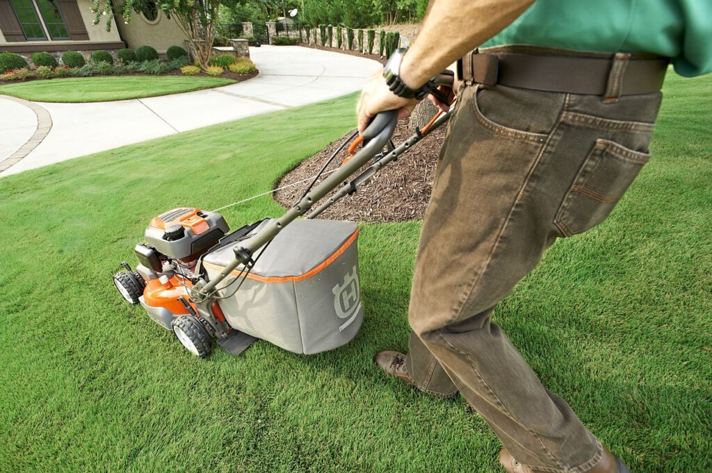 garden, garden shop, grass, home garden, lawn, nature, lawn mower, lawnmower, green home, green shopping, green grass, green garden, green shop